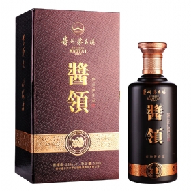 酱领10年53度500毫升（J10）