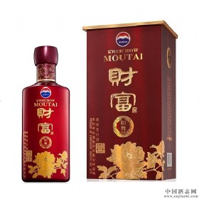 茅台财富酒53度500毫升（和尊）