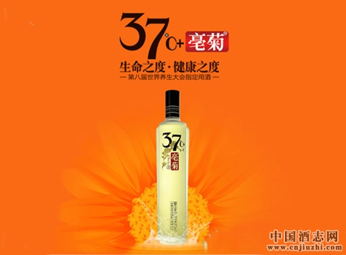 古井新品三十七度亳菊酒怎么样？